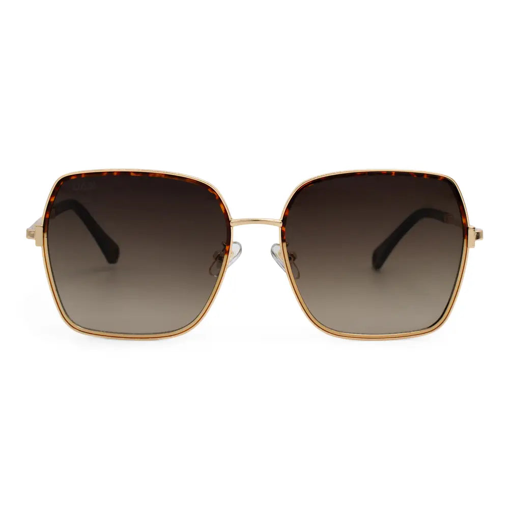 DAX Eyewear Sunglasses- Aspen Brown