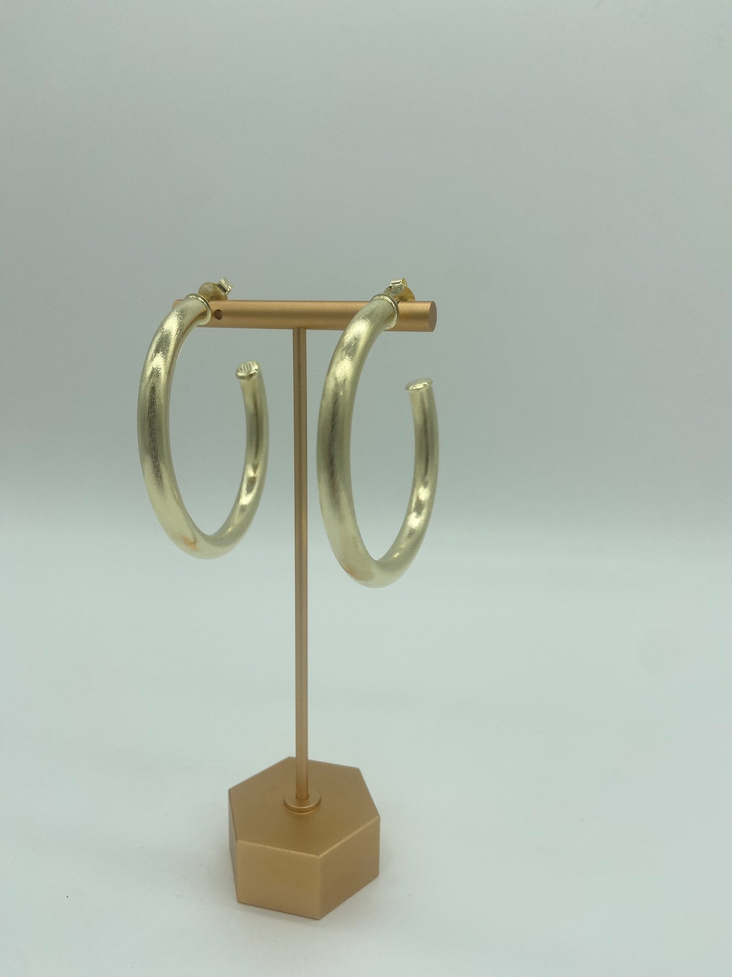 Shelia Fajl Arlene Hoops