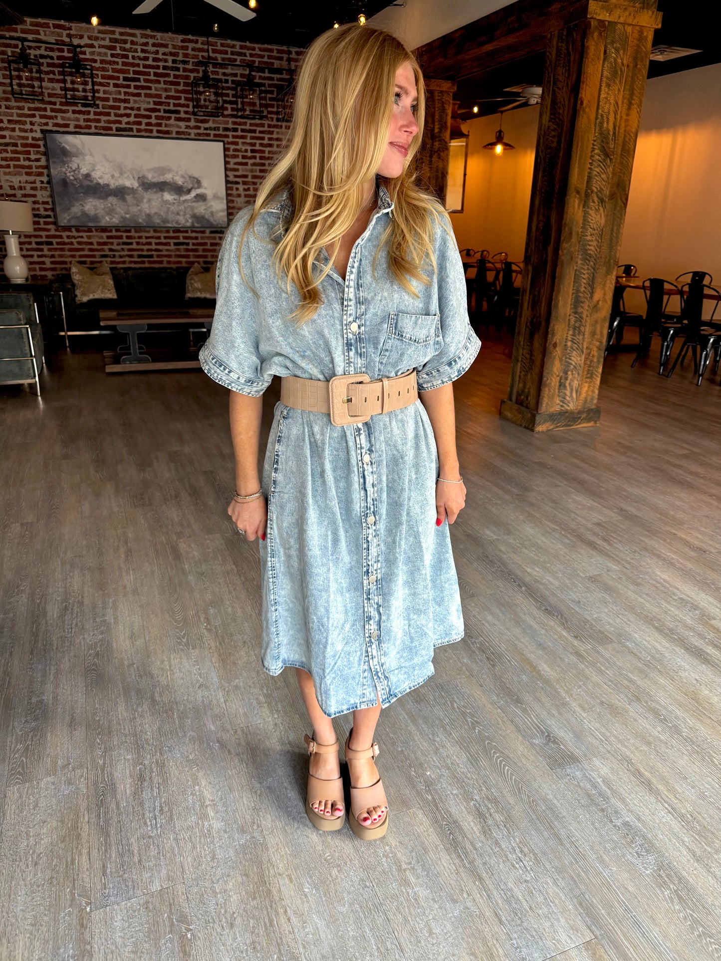 Daily Denim Chambray Dress