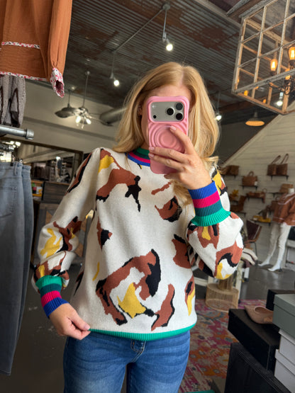 Lines and Leopard Sweater