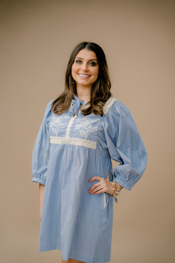 Baby Blue Embroidered Dress